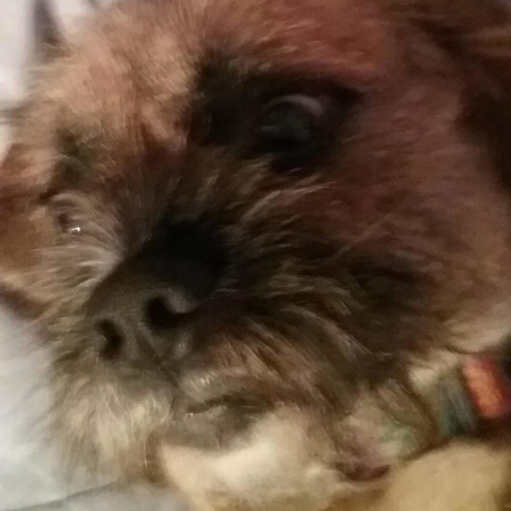 Meet your Posher, Eric